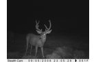 Property photo 42 - 7,320 Acres Offered in 5 Tracts
